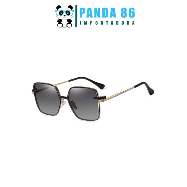 Armazones con un Clip Adulto - Modelo 95815