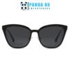 Armazones con un Clip Adulto - Modelo 2256